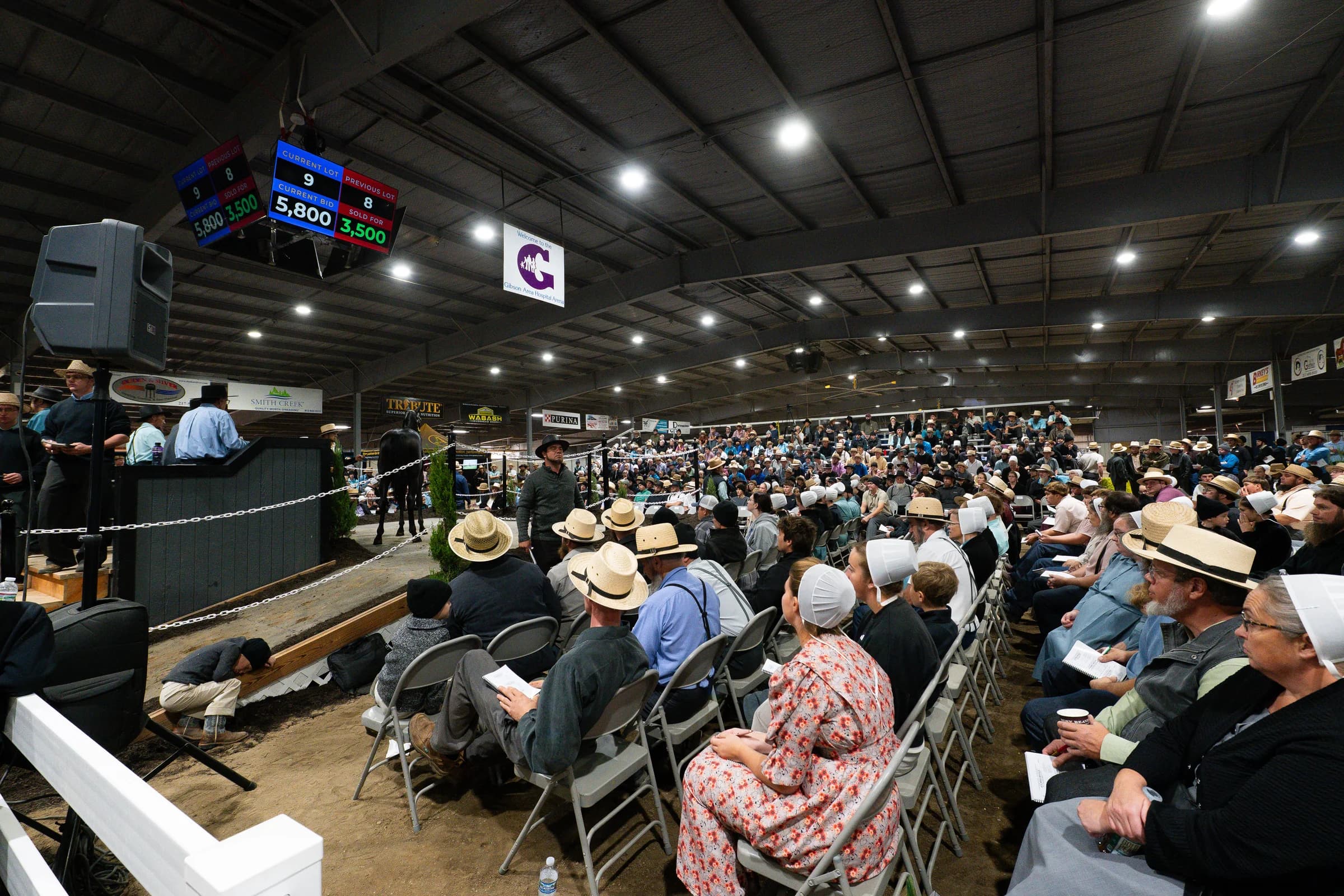 Mid-America Standardbred Yearling Auction 2026